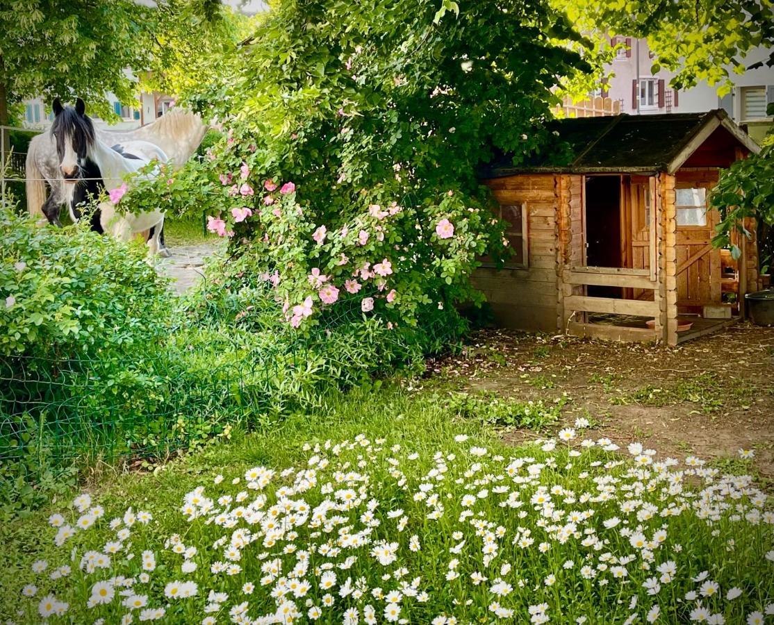 Rohrachhof Treuchtlingen Exterior foto